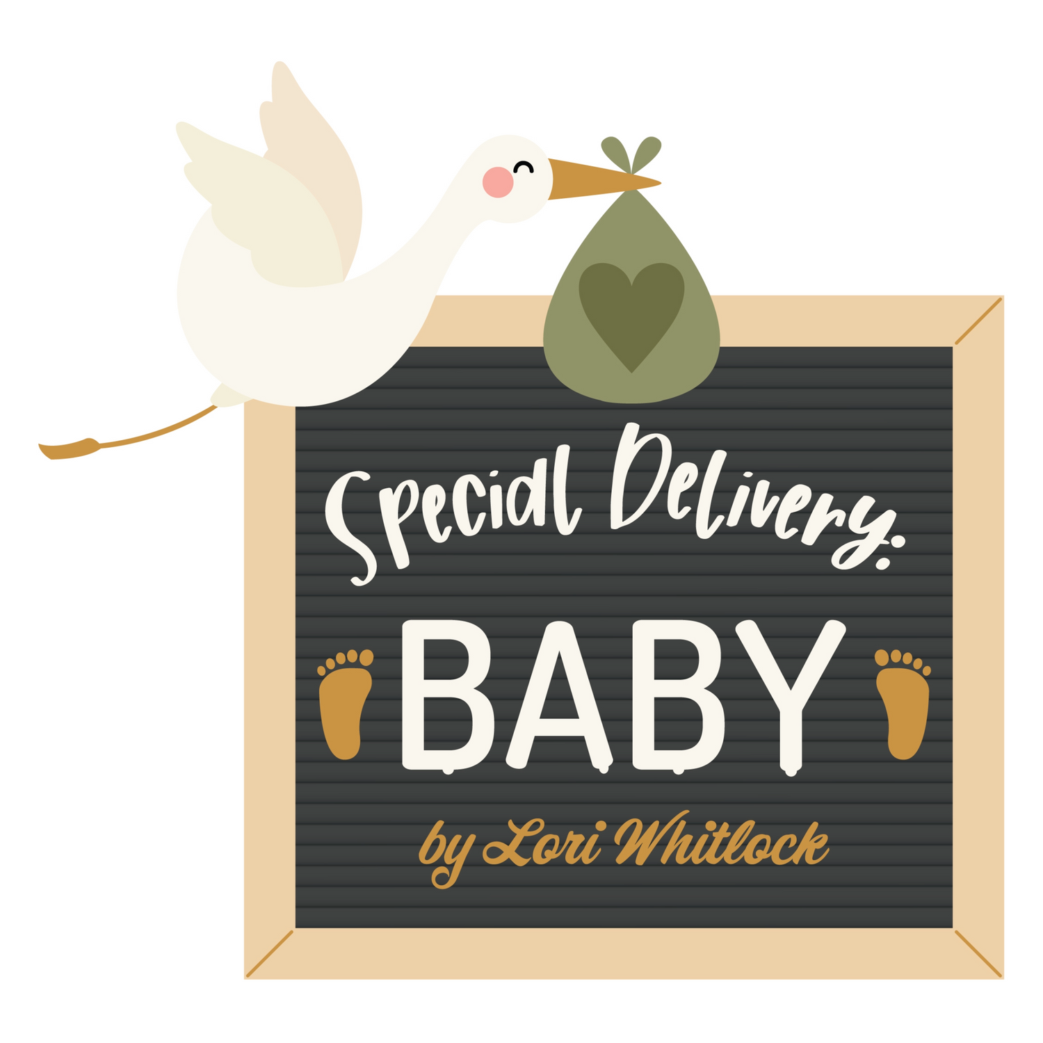 Echo Park Special Delivery Baby