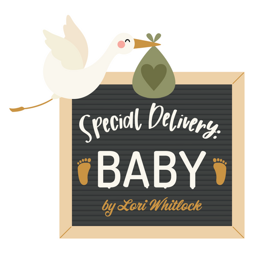 Special Delivery Baby