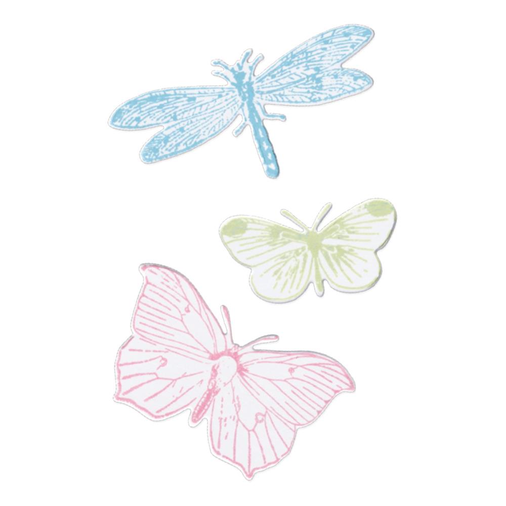 Sizzix Framelits Die & Stamp Set By 49 & Market - Engraved Wings