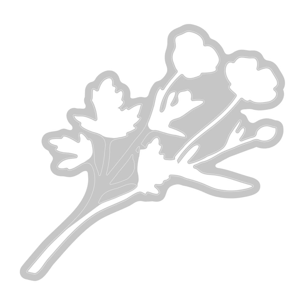 Sizzix Framelits Die & A5 Stamp Set By 49 & Market - Botanicals