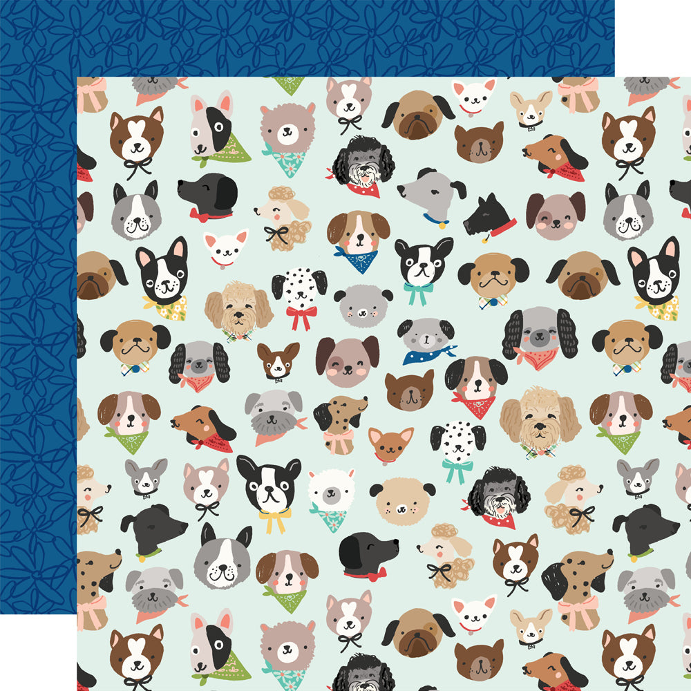 Fur Baby Dog Collection Kit