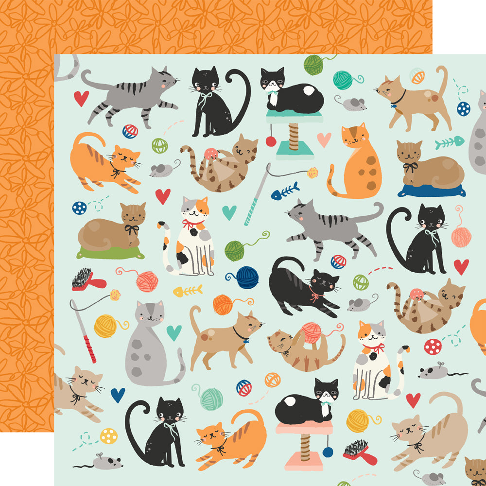 Simple Stories Fur Baby Cat Collection Kit