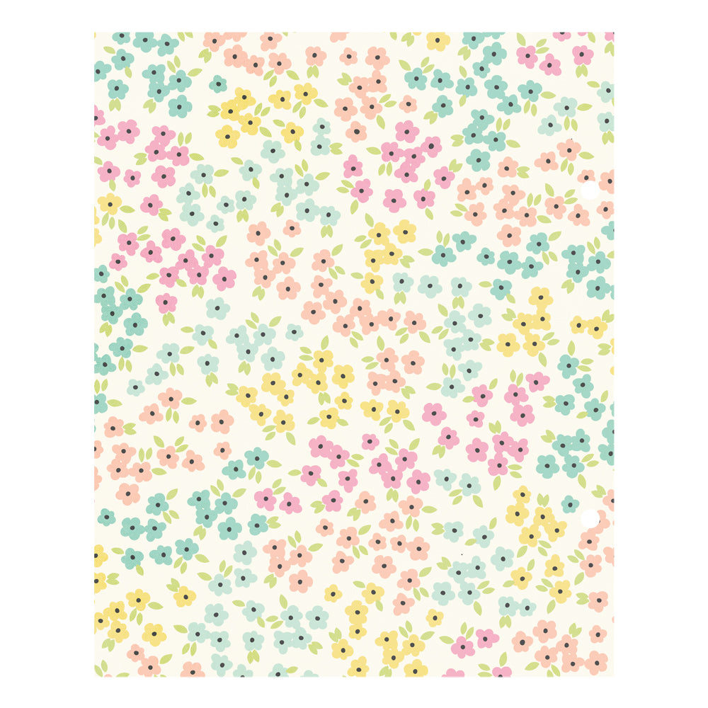 Classic Pooh Baby Binder Inserts 6"X8"