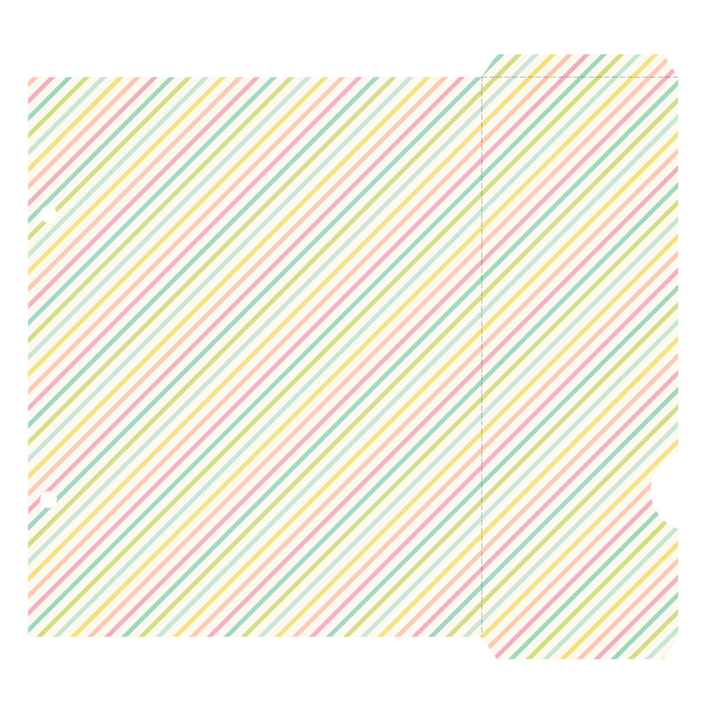 Classic Pooh Baby Binder Inserts 6"X8"