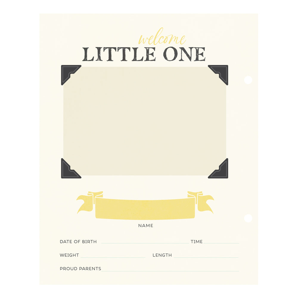 Classic Pooh Baby Binder Inserts 6"X8"