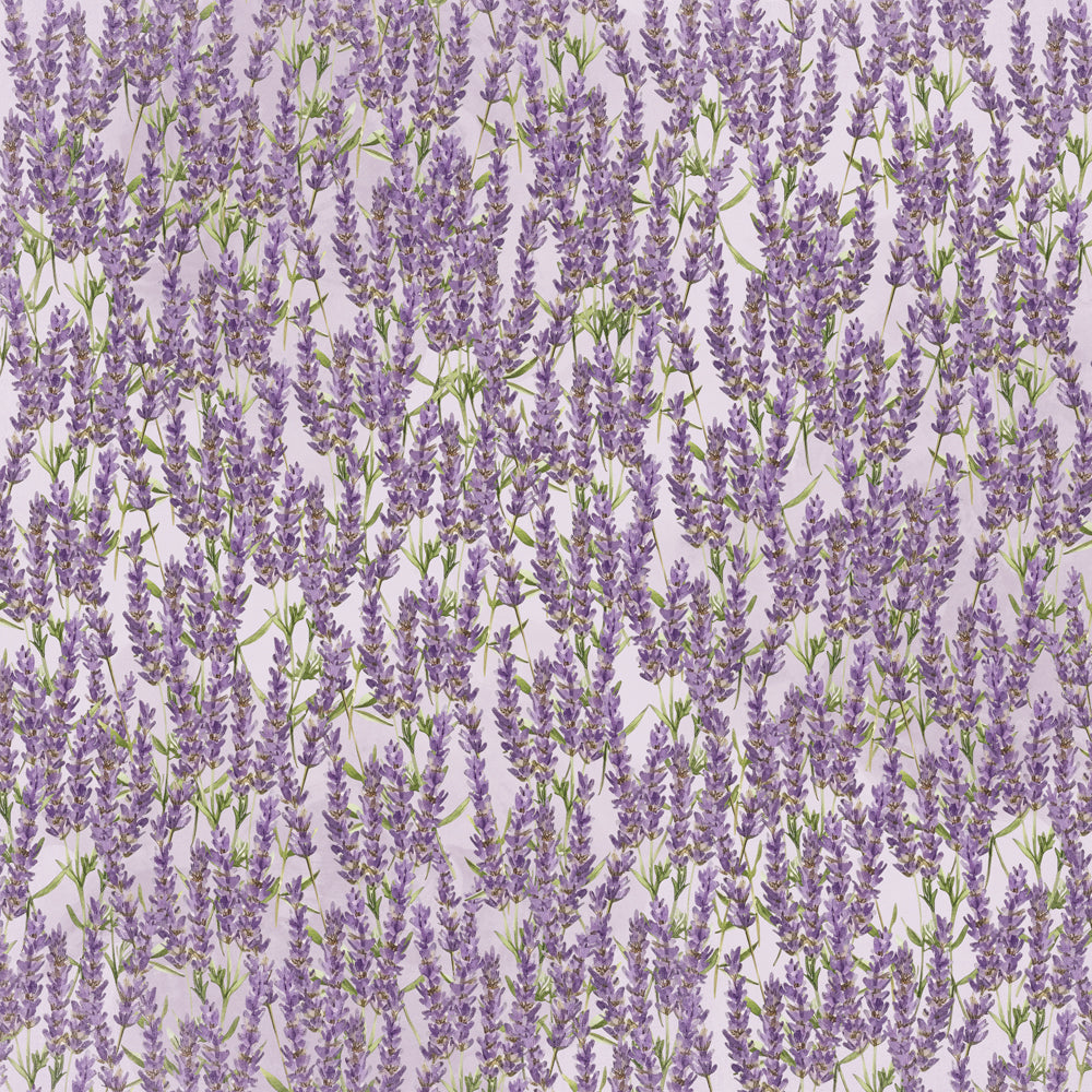 Simple Vintage Lavender Fields -  Wild At Heart