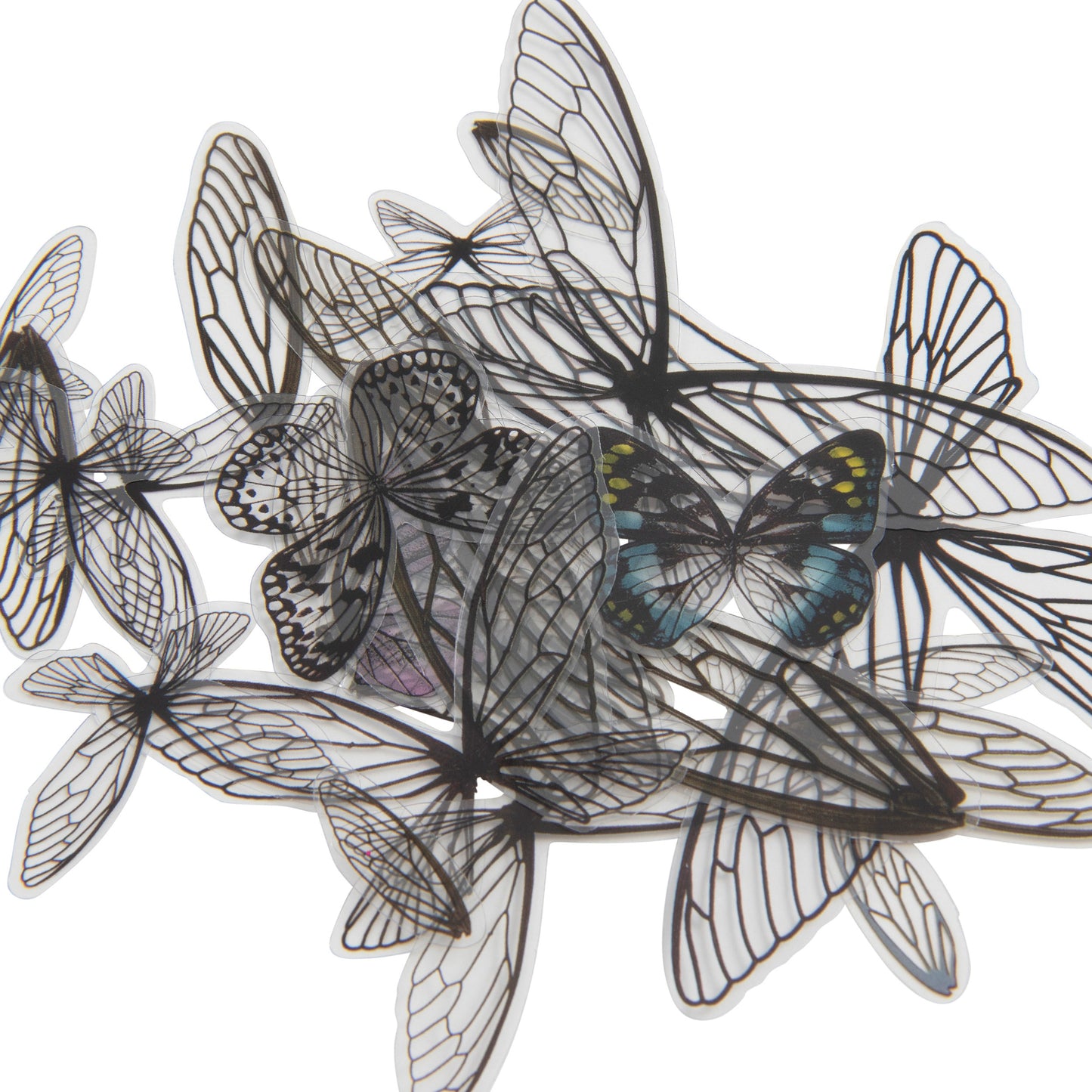 Tim Holtz Idea-Ology Transparent Acetate Wings-72/Pkg