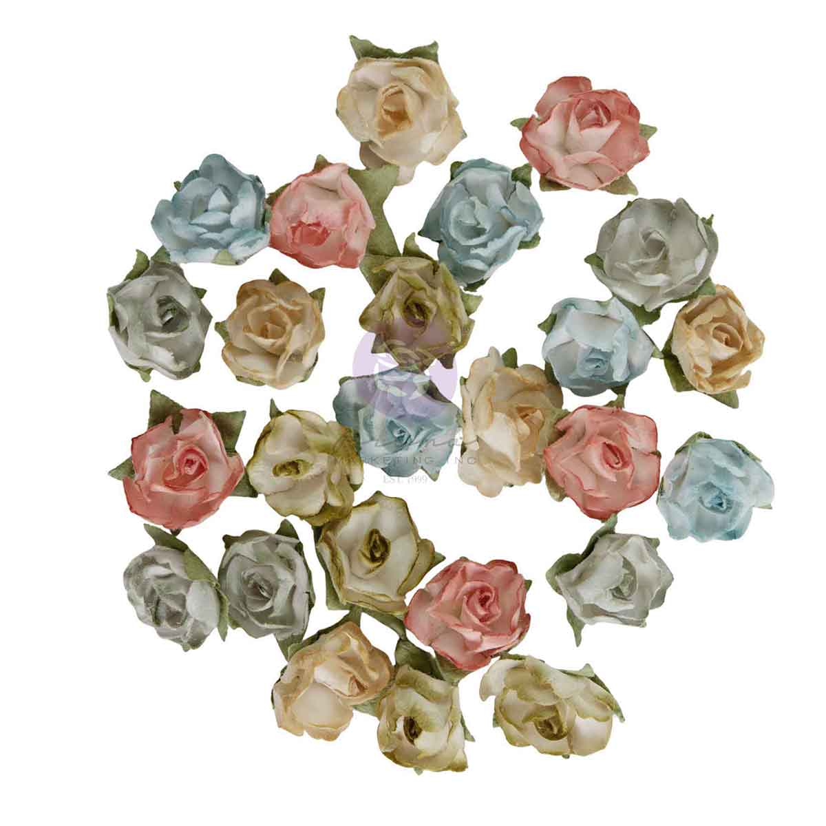 Homegrown - Flowers - Palette Blooms
