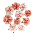 Homegrown - Flowers - Blush Harvest