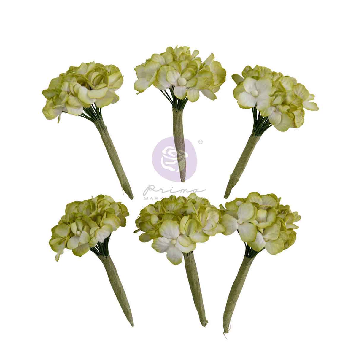 Homegrown - Flowers - Garden Hydrangea Mist