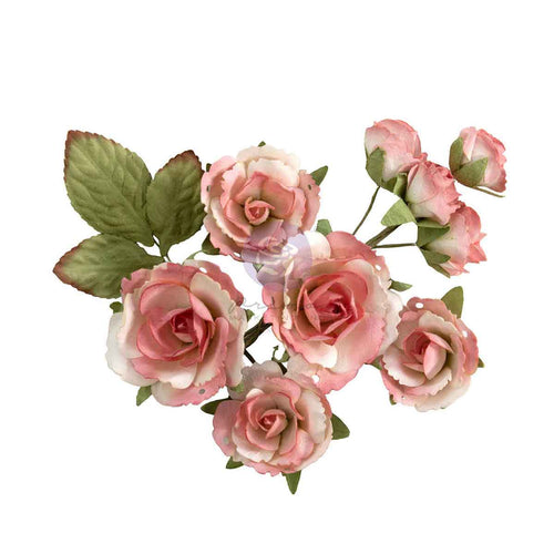 Homegrown - Flowers - Garden Rose Blush