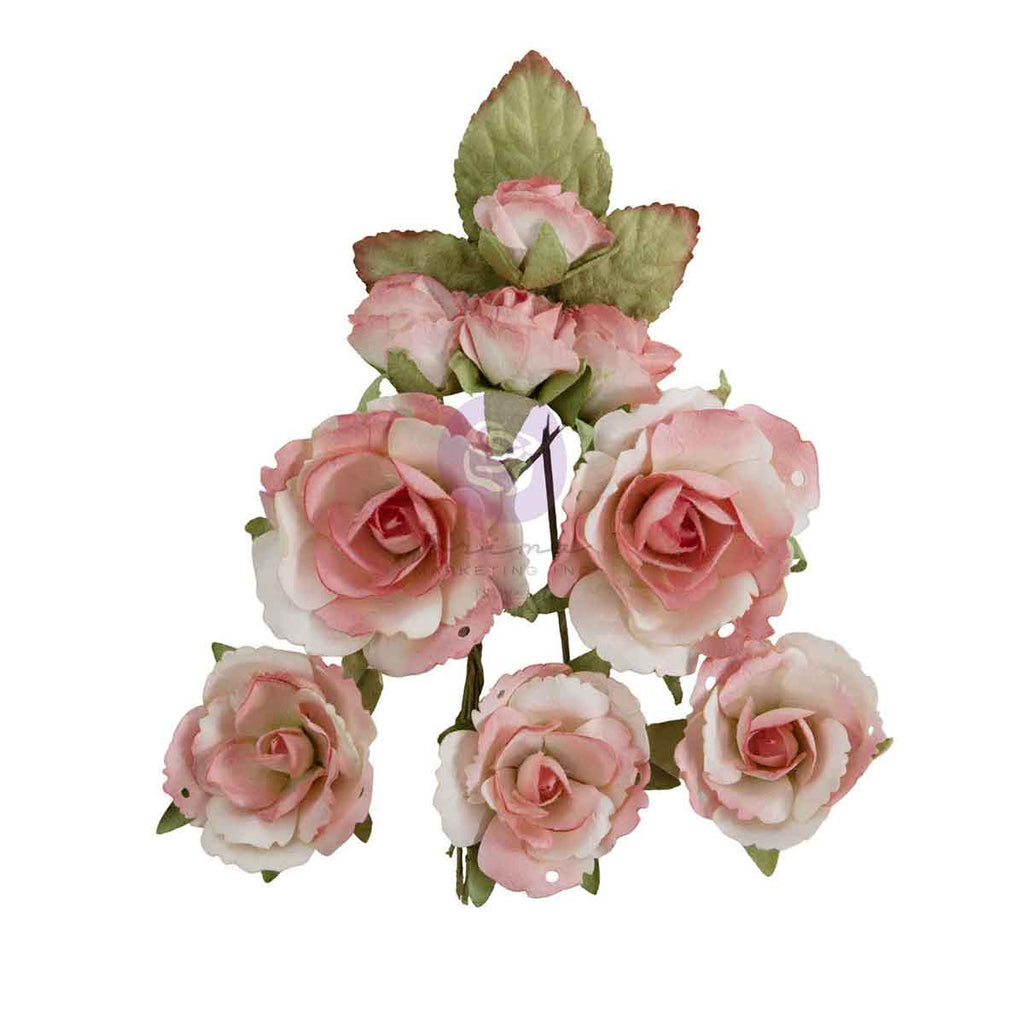 Homegrown - Flowers - Garden Rose Blush