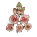 Homegrown - Flowers - Garden Rose Blush