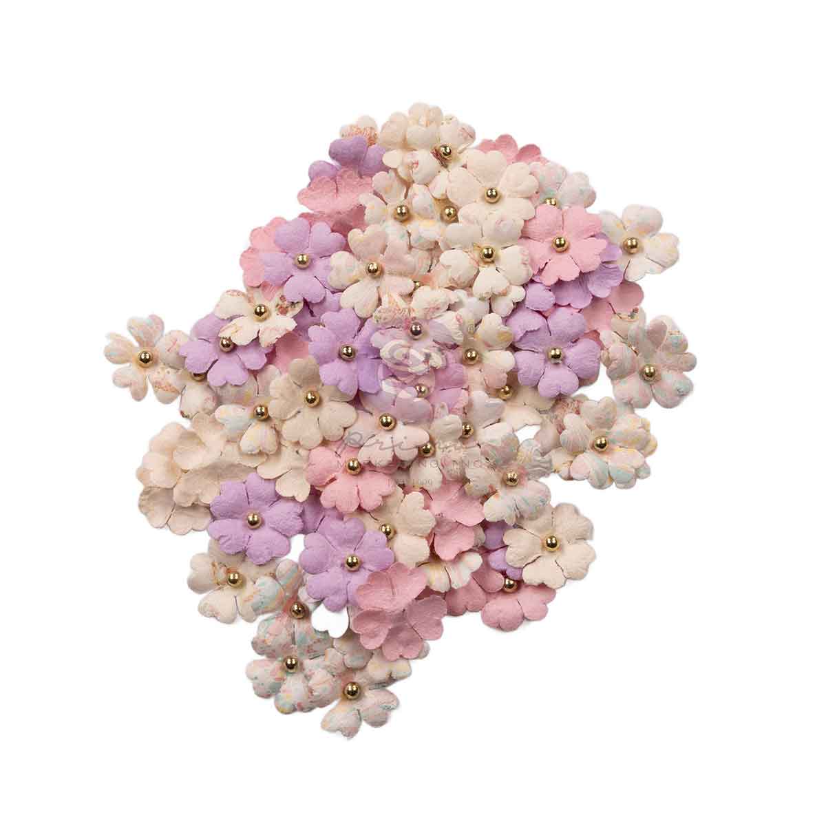 Sweet Spring - Flowers - Sweet Raindrops