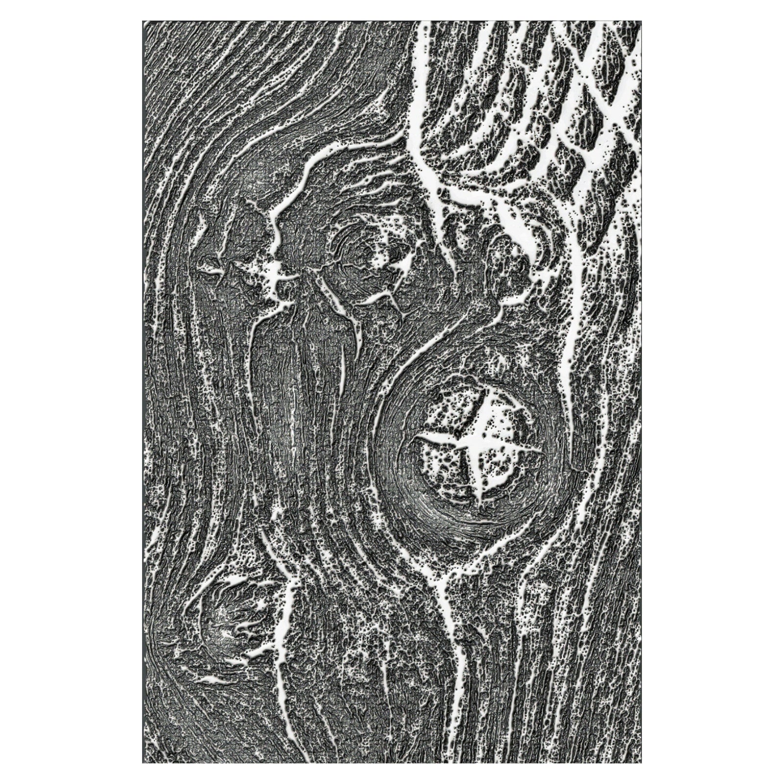 3D Texture Fades Embossing Folder by Tim Holtz -Woodgrain