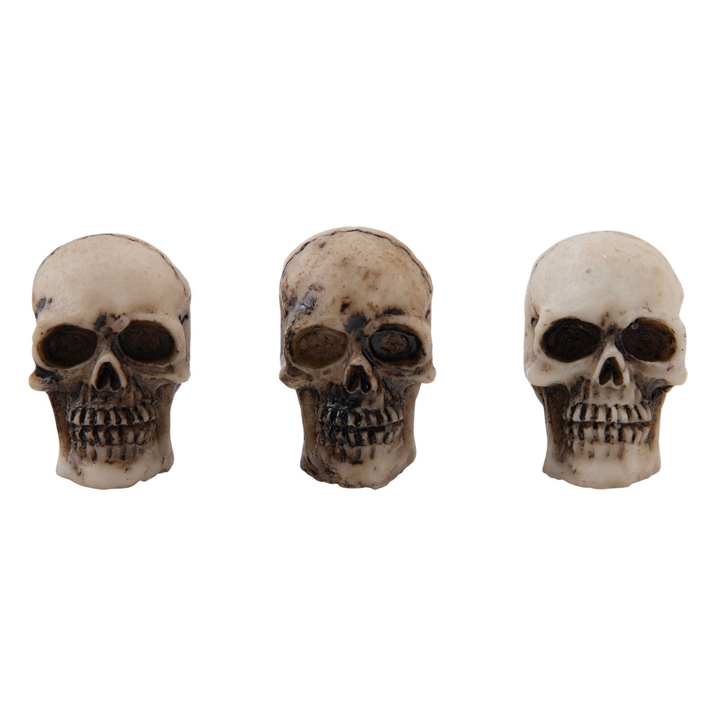 Tim Holtz Idea-Ology Skulls + Bones-