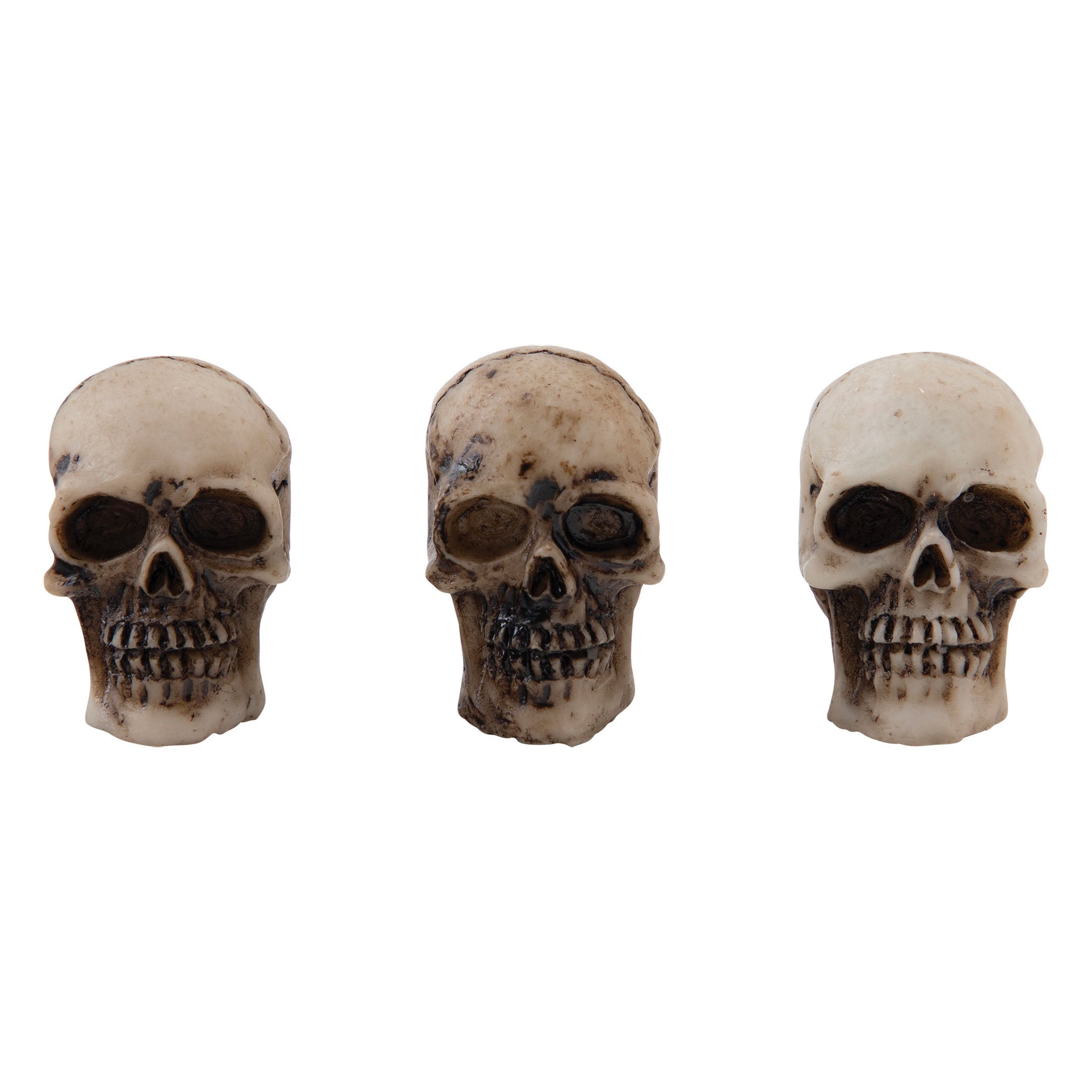 Tim Holtz Idea-Ology Skulls + Bones-