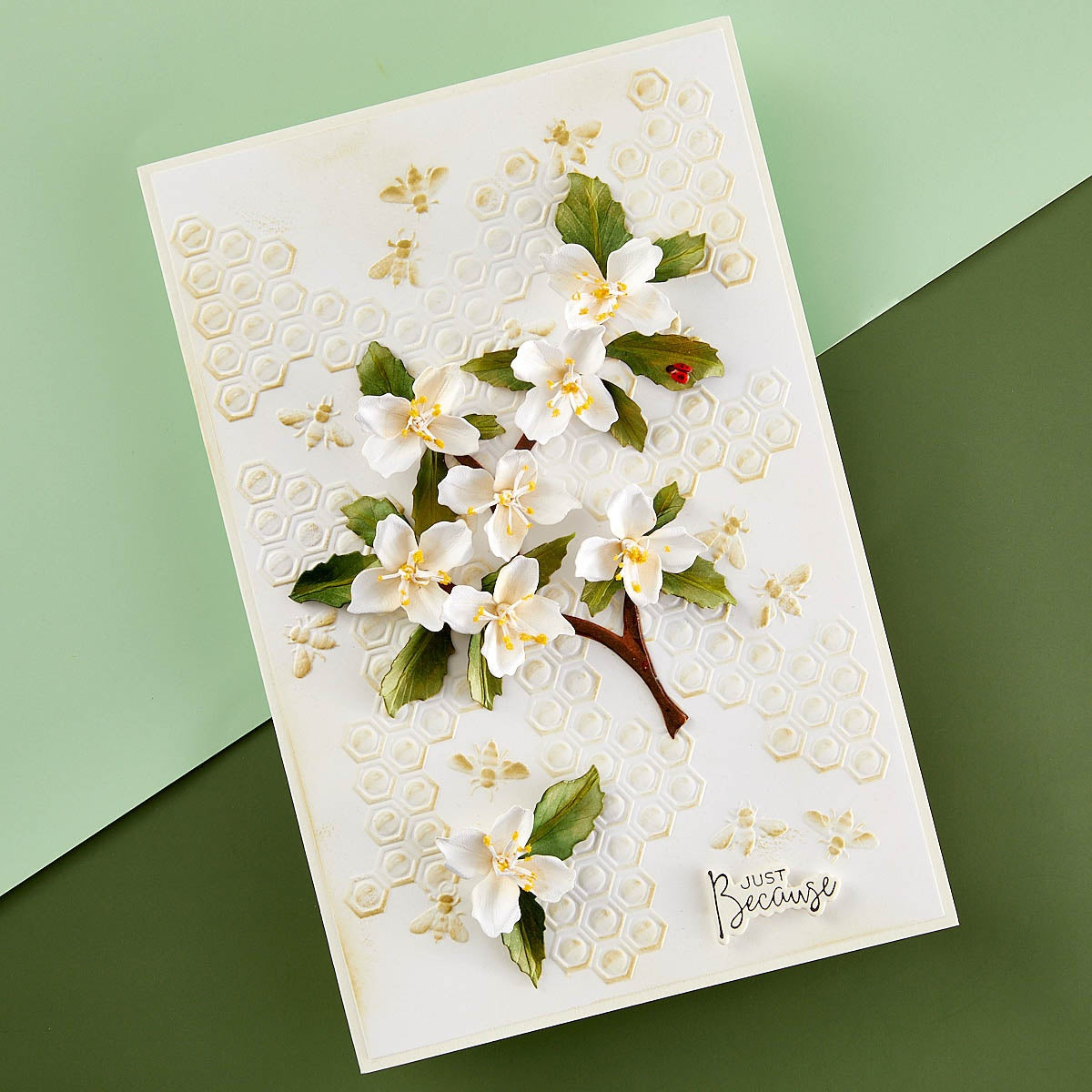 Spellbinders 3D Embossing Folder By Susan Tierney-Cockburn-Bee-Cause, Through The Arbor Garden