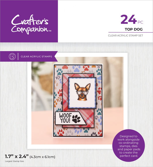 Crafter's Companion Pets Rule Clear Acrylic Stamps-Top Dog