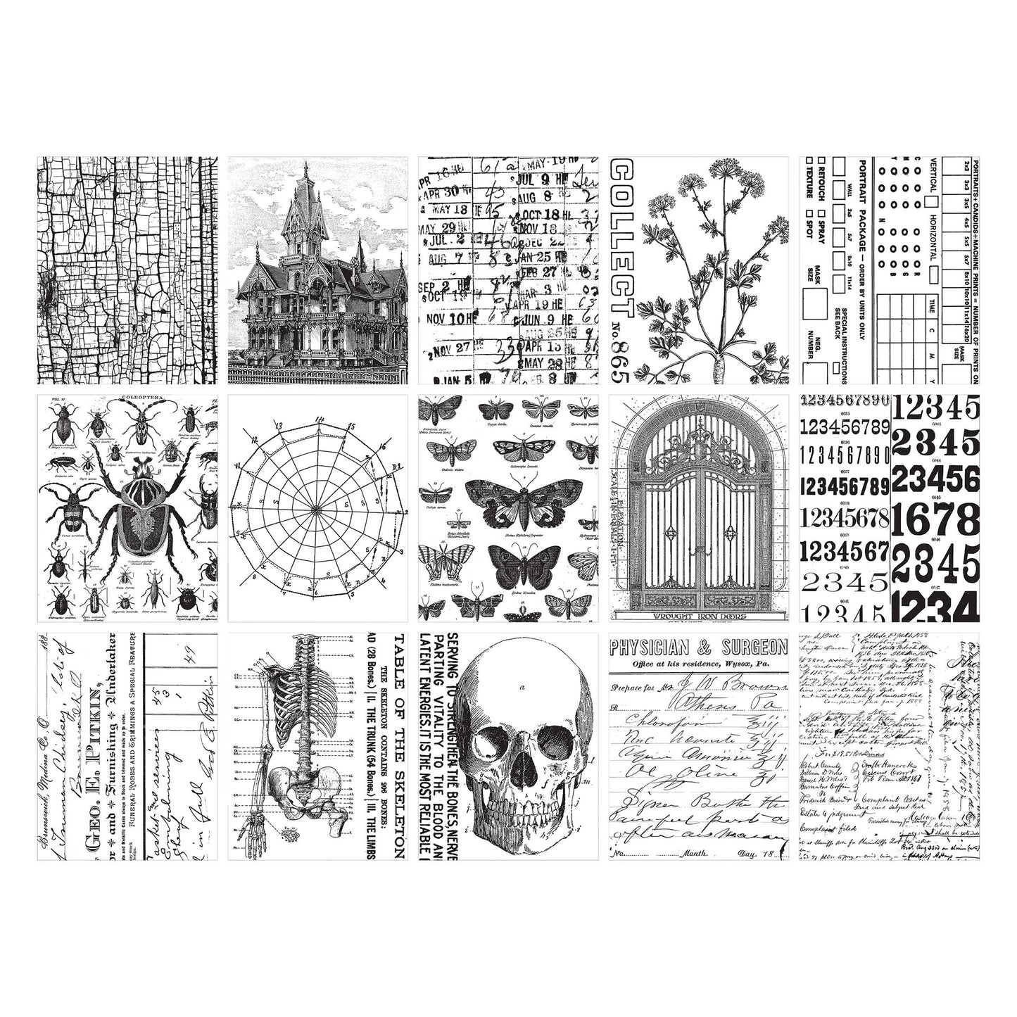 Tim Holtz Idea-ology-Collage Paper - Halloween 2024