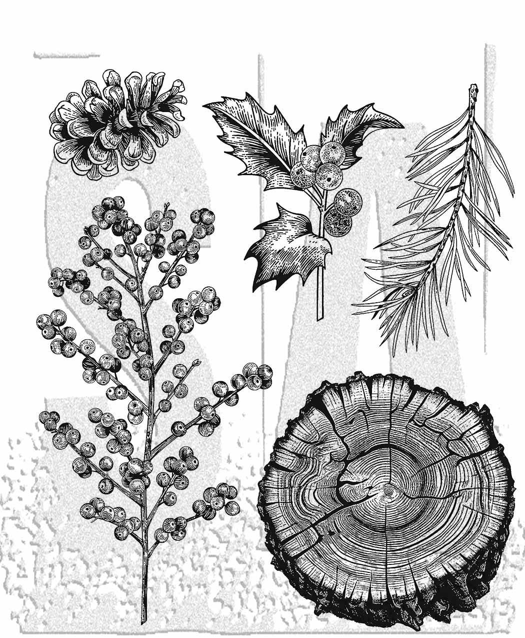 Tim Holtz Cling Stamps 7"X8.5"-Forest Floor 2