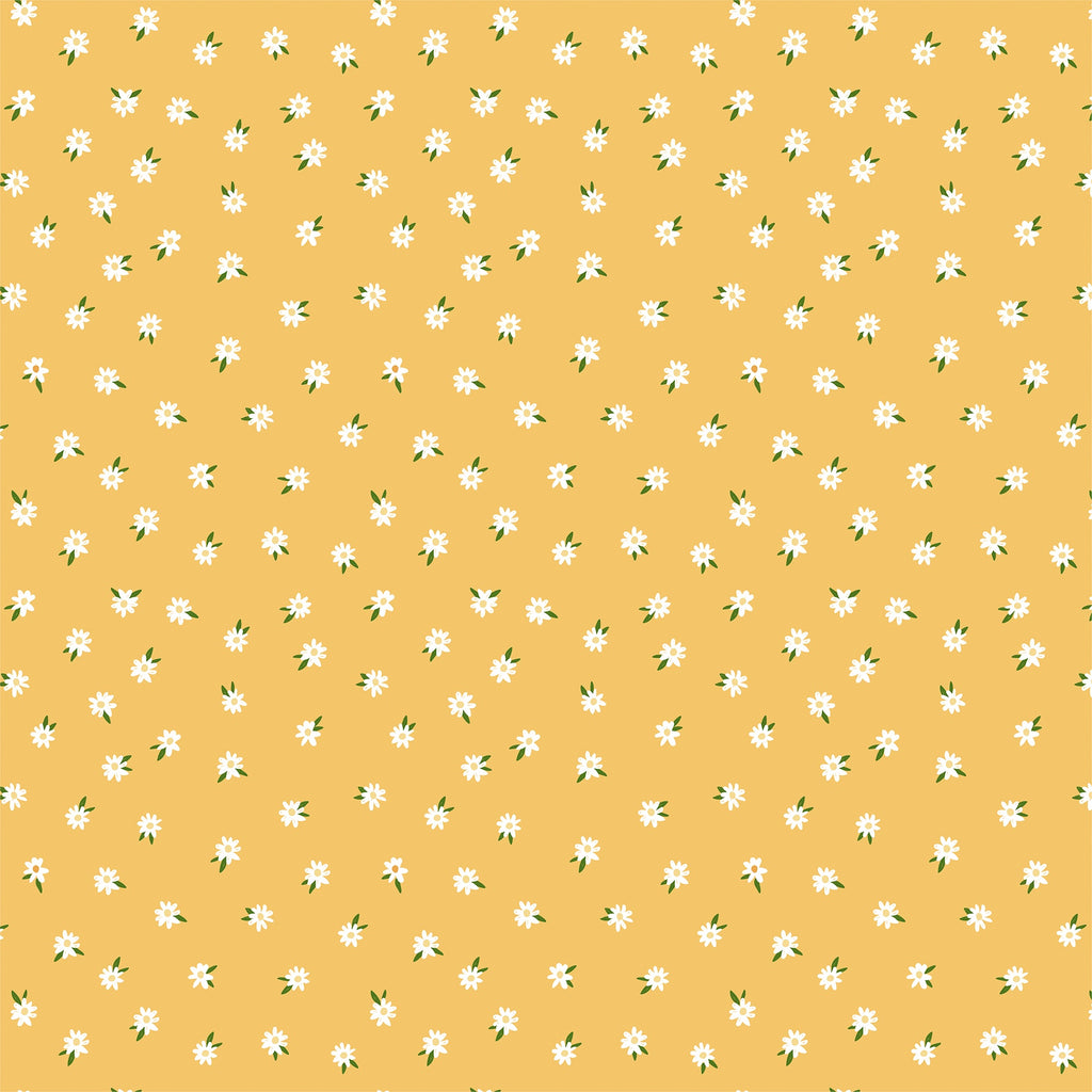 Echo Park Winnie The Pooh Baby Paper - Oh Baby Daisies