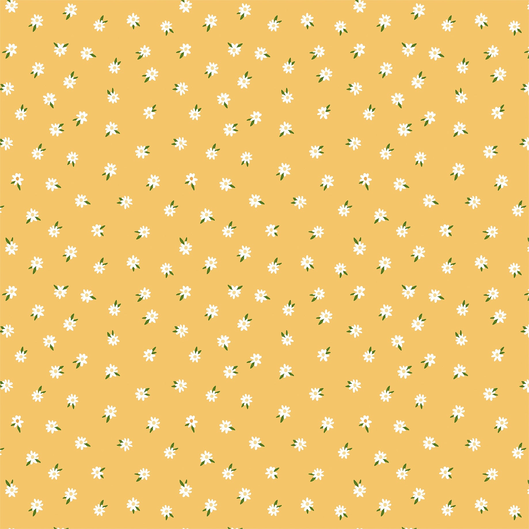 Echo Park Winnie The Pooh Baby Paper - Oh Baby Daisies