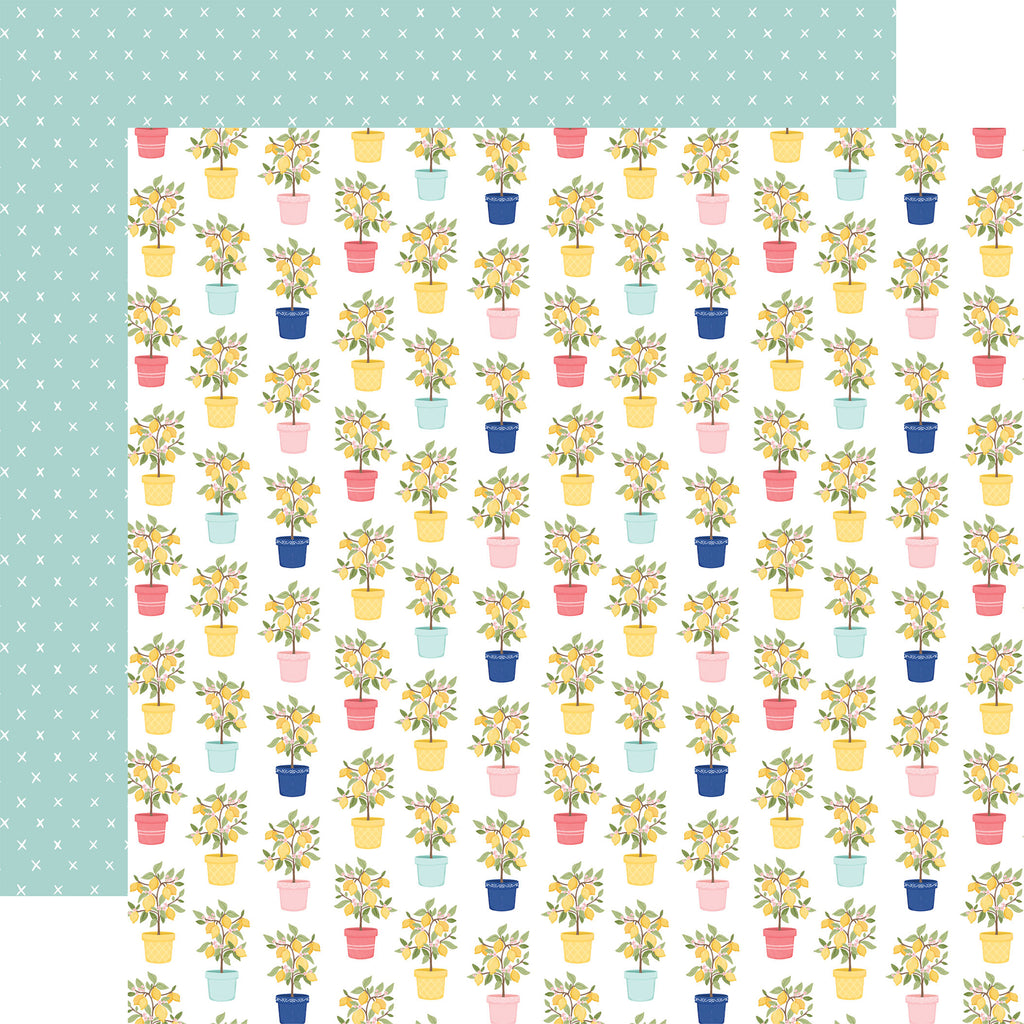 Lemonade - Collection Kit