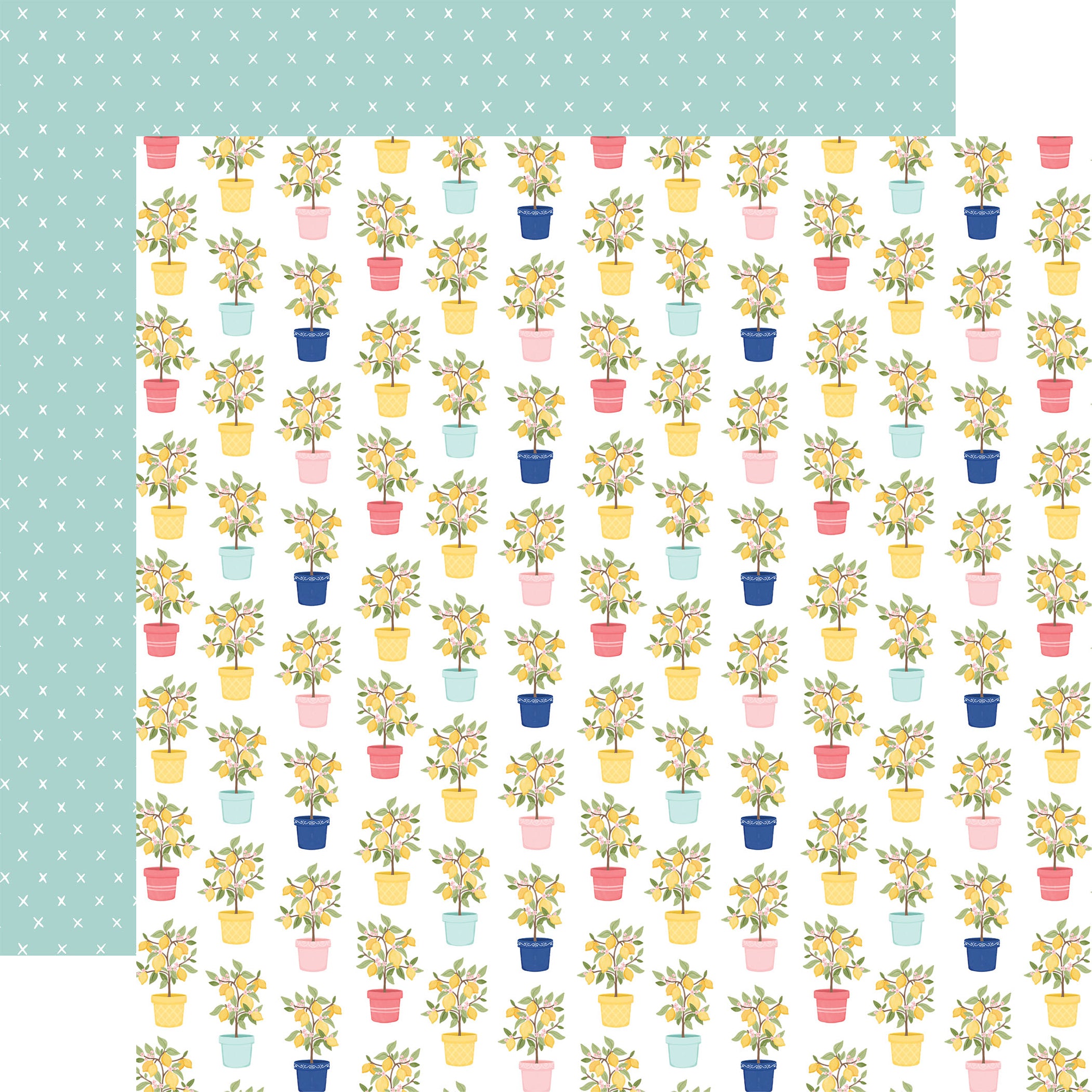 Lemonade - Collection Kit