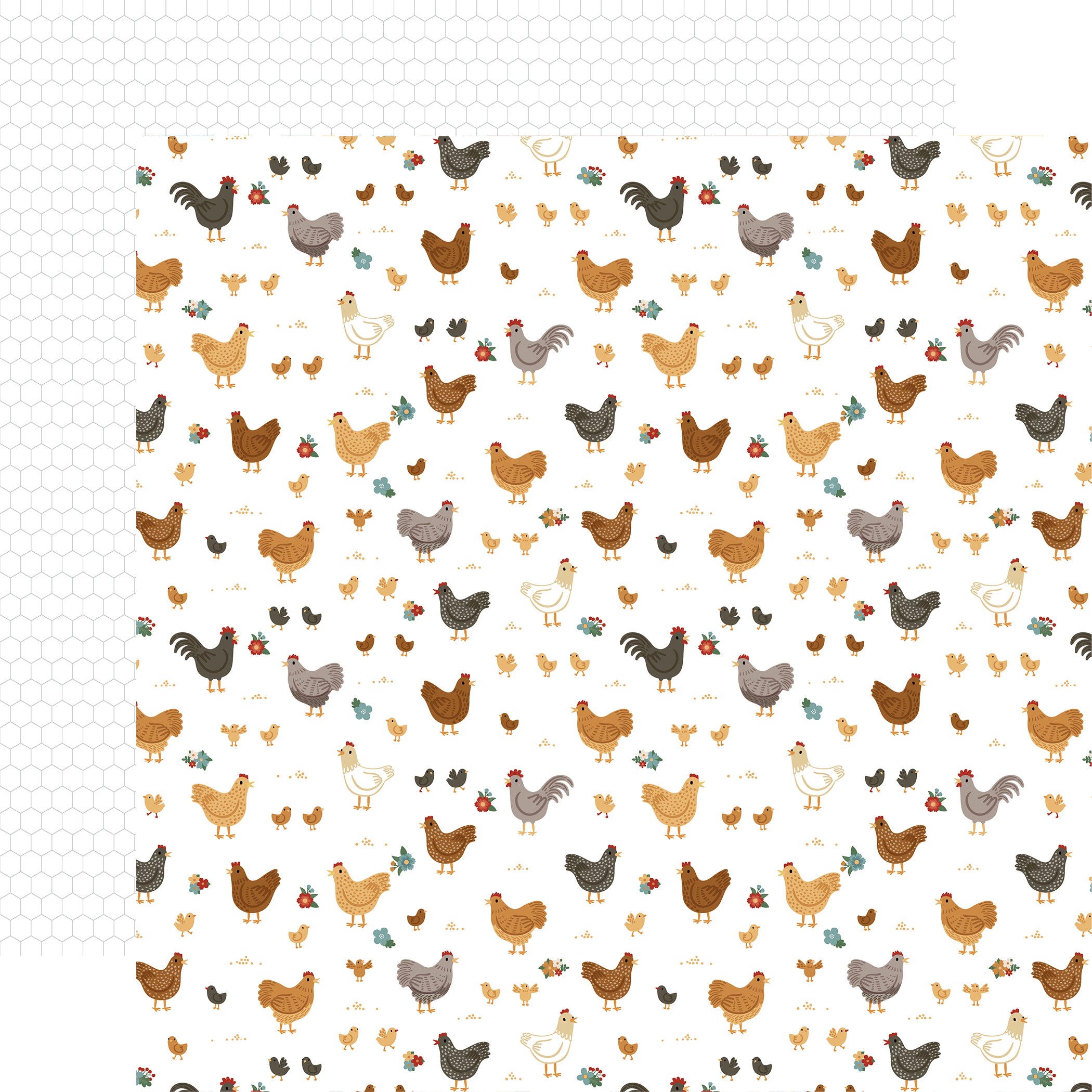 Echo Park Chickens Collection Kit 12"X12"