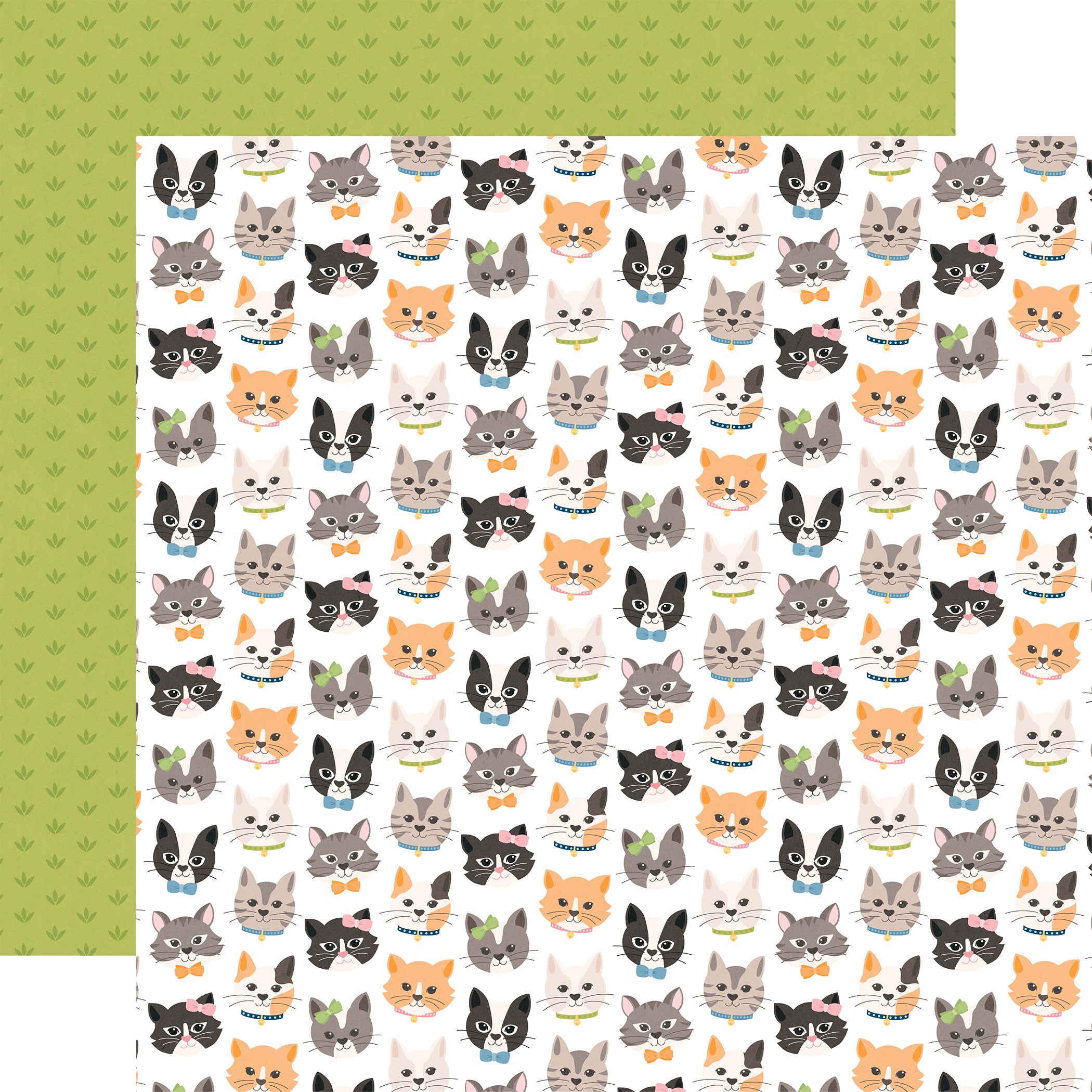 Cat Lover - Collection Kit