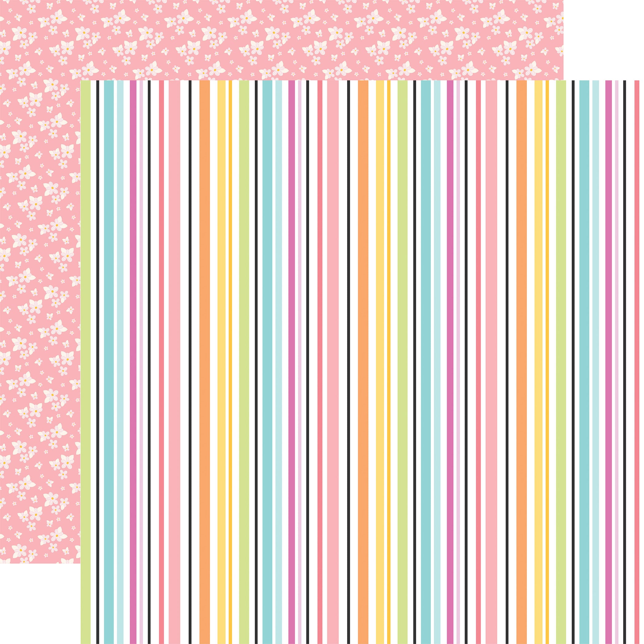 Craft Room -  Collection Kit