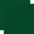 Color Vibe Cardstock - Evergreen