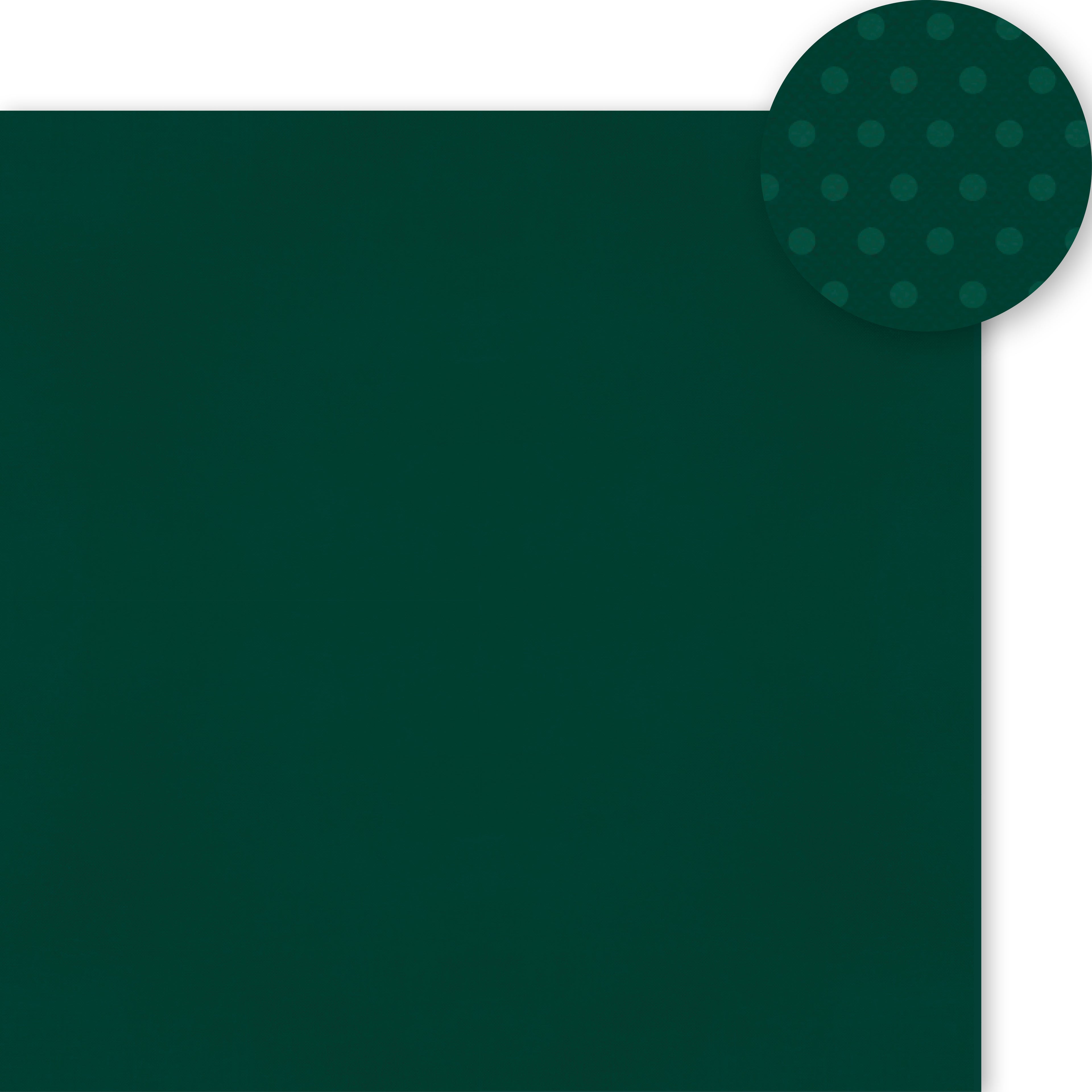Color Vibe Cardstock - Forest Green