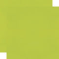Color Vibe Cardstock - Lime