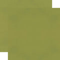 Color Vibe Cardstock - Olive