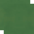 Color Vibe Cardstock - Pine