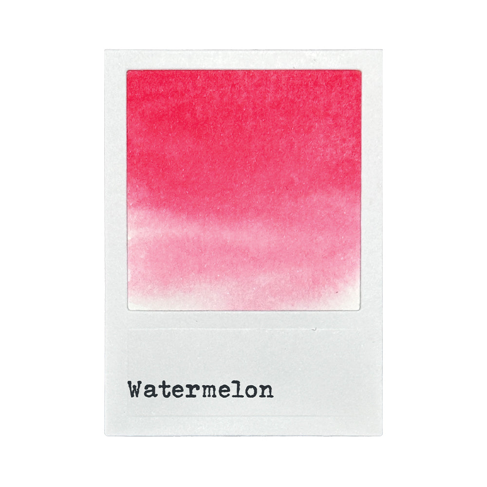 Ranger - 49 & Market Dye Ink Pad - Watermelon
