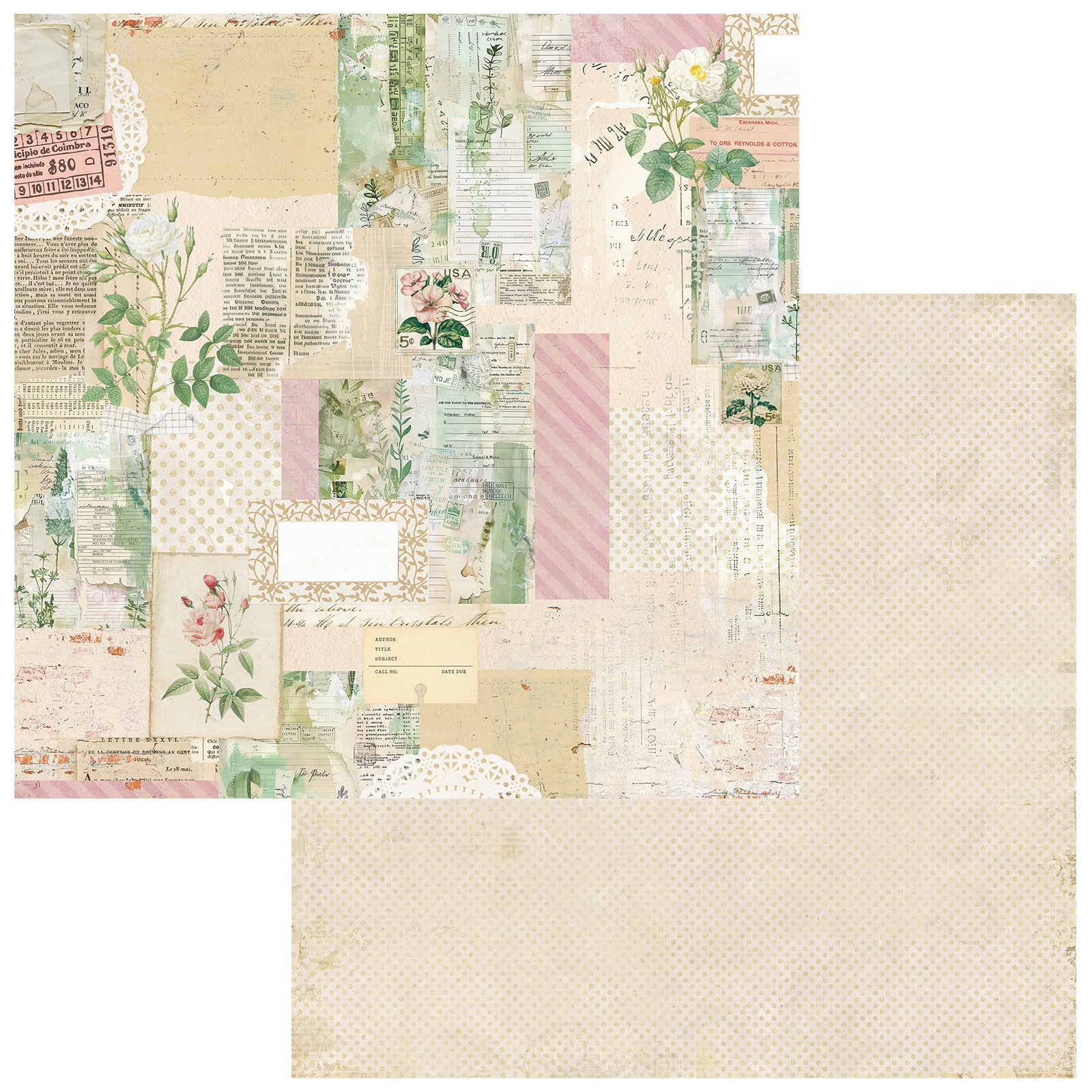 From the Garden - 12 x12 Collection Pack