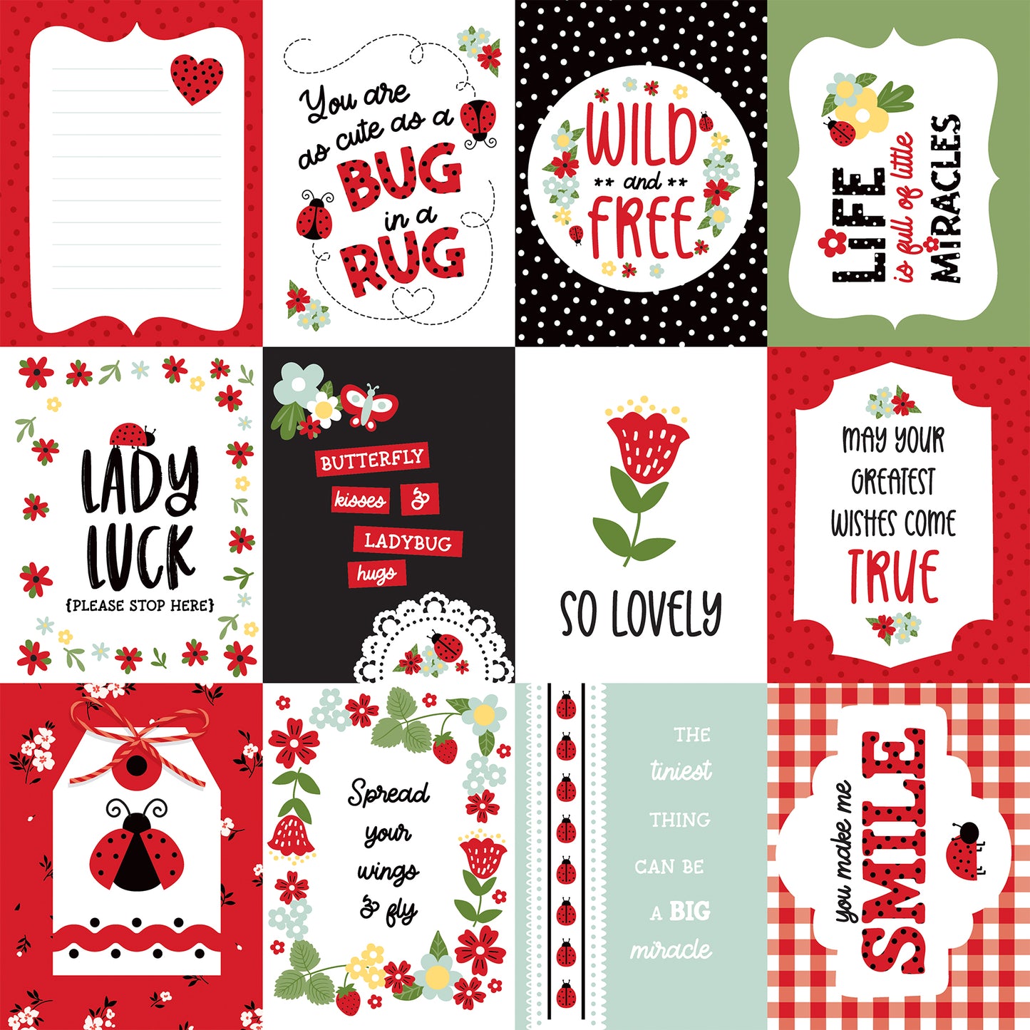 Echo Park Little Ladybug Collection Kit