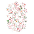 Peonies & Proteas -  Vellum Creative Cuts