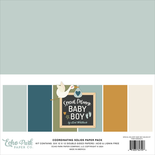Echo Park Special Delivery Baby Boy Solids
