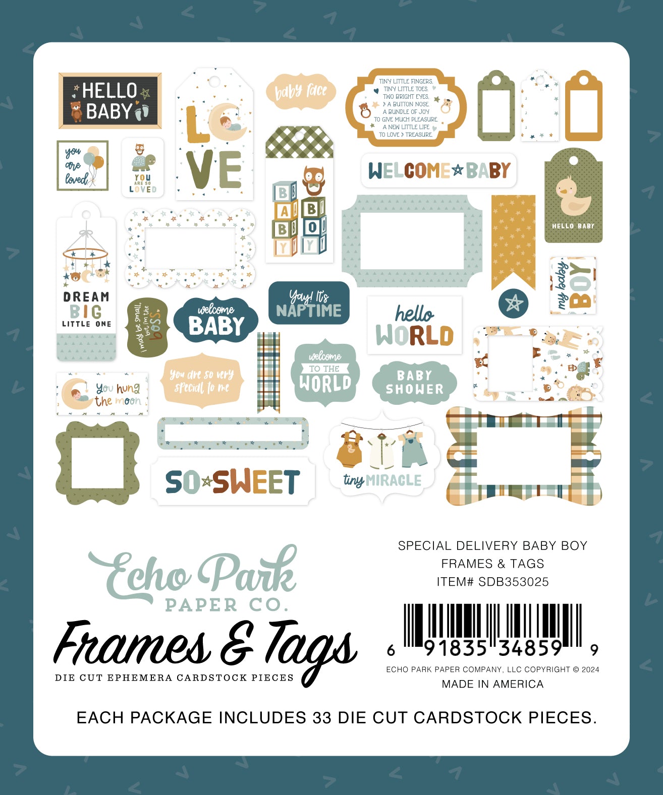 Echo Park Special Delivery Baby Boy Cardstock Ephemera-Frames & Tags