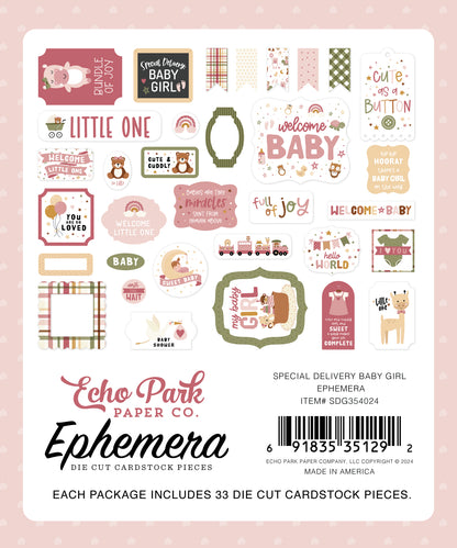 Echo Park Special Delivery Baby Girl Cardstock Ephemera-Icons