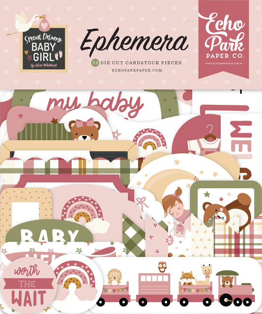 Echo Park Special Delivery Baby Girl Cardstock Ephemera-Icons