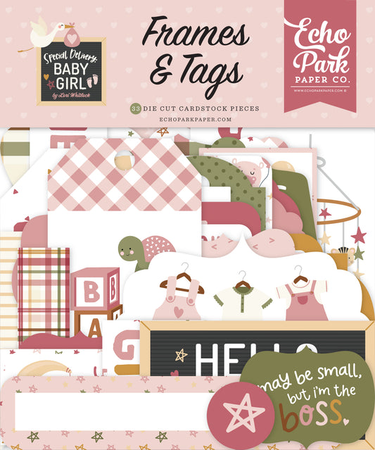Echo Park Special Delivery Baby Girl Cardstock Ephemera-Frames & Tags