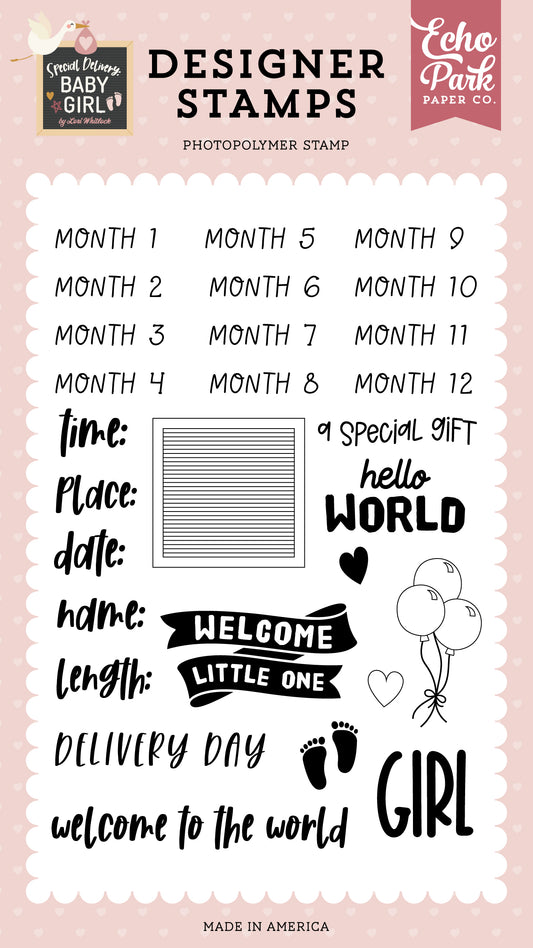 Echo Park Special Delivery Baby Girl Stats Stamp Set