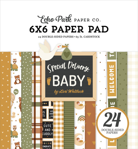 Echo Park Special Delivery Baby Double-Sided Paper Pad