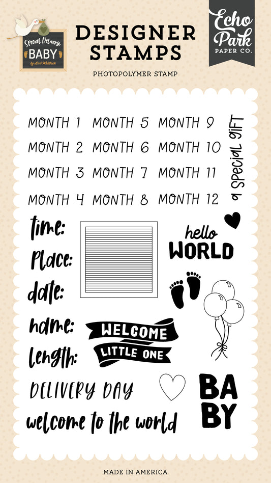 Echo Park Special Delivery Baby Stats Stamp Set