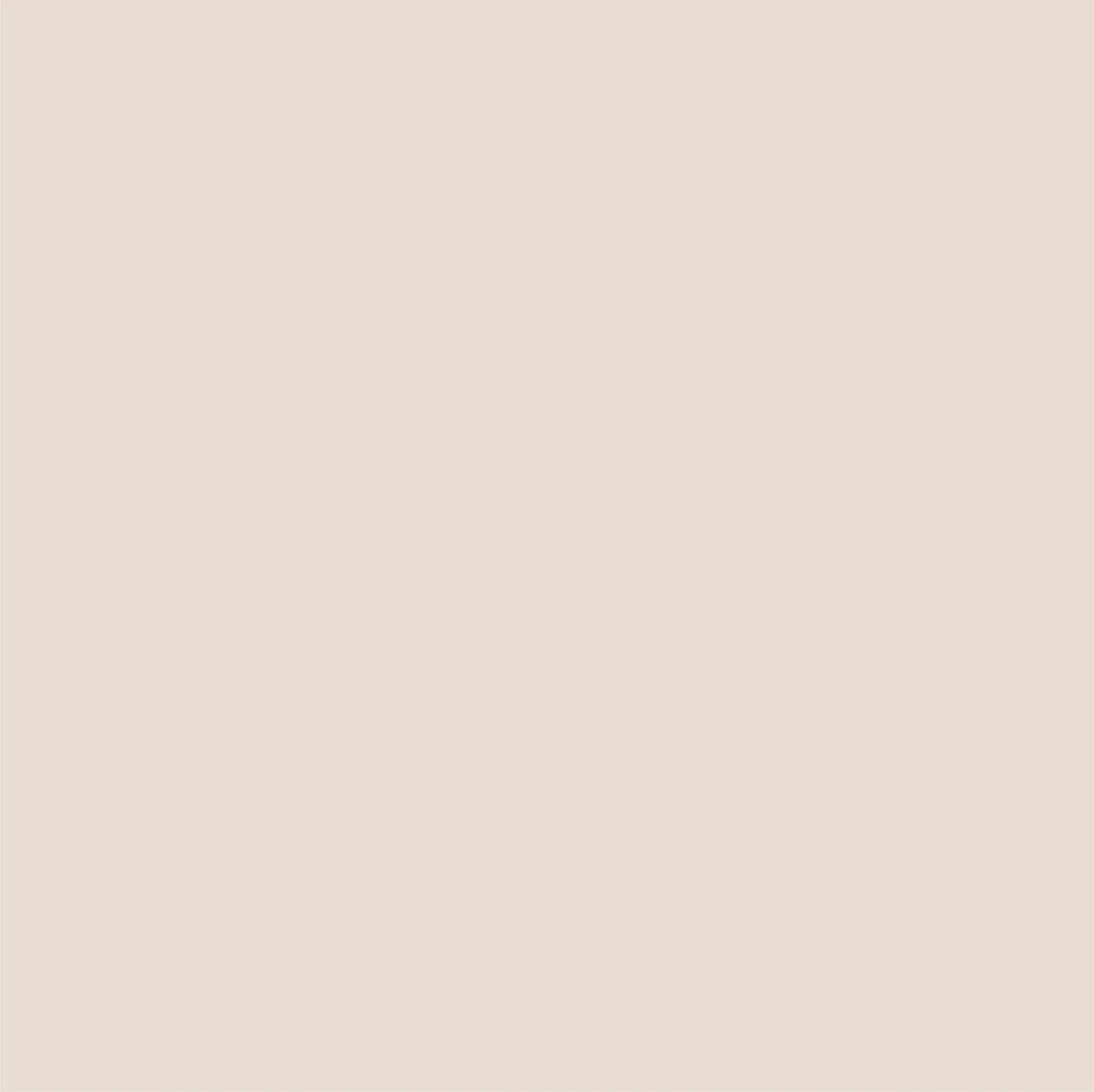 Two-Tone Cardstock - Mocha